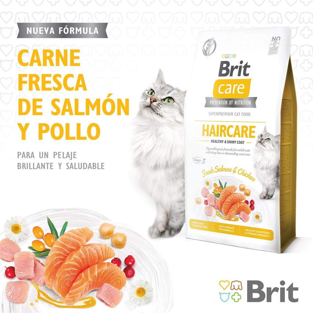 Brit care gato haircare